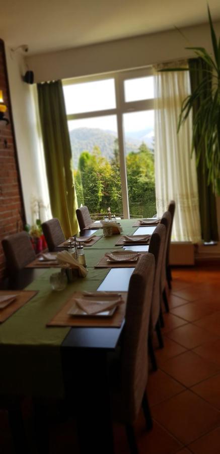 Apartamente Private A&L View Σινάια Εξωτερικό φωτογραφία
